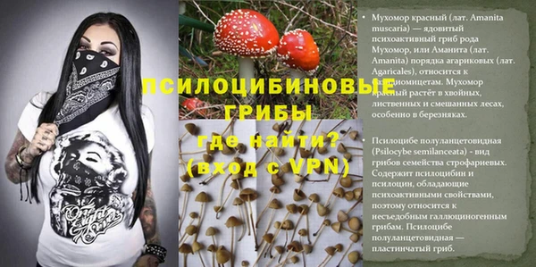 амфетамин Алексин