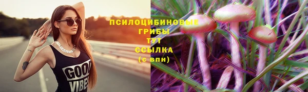амфетамин Алексин
