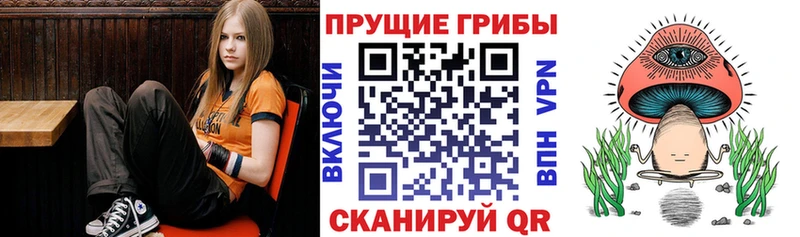 Галлюциногенные грибы GOLDEN TEACHER  Брюховецкая 